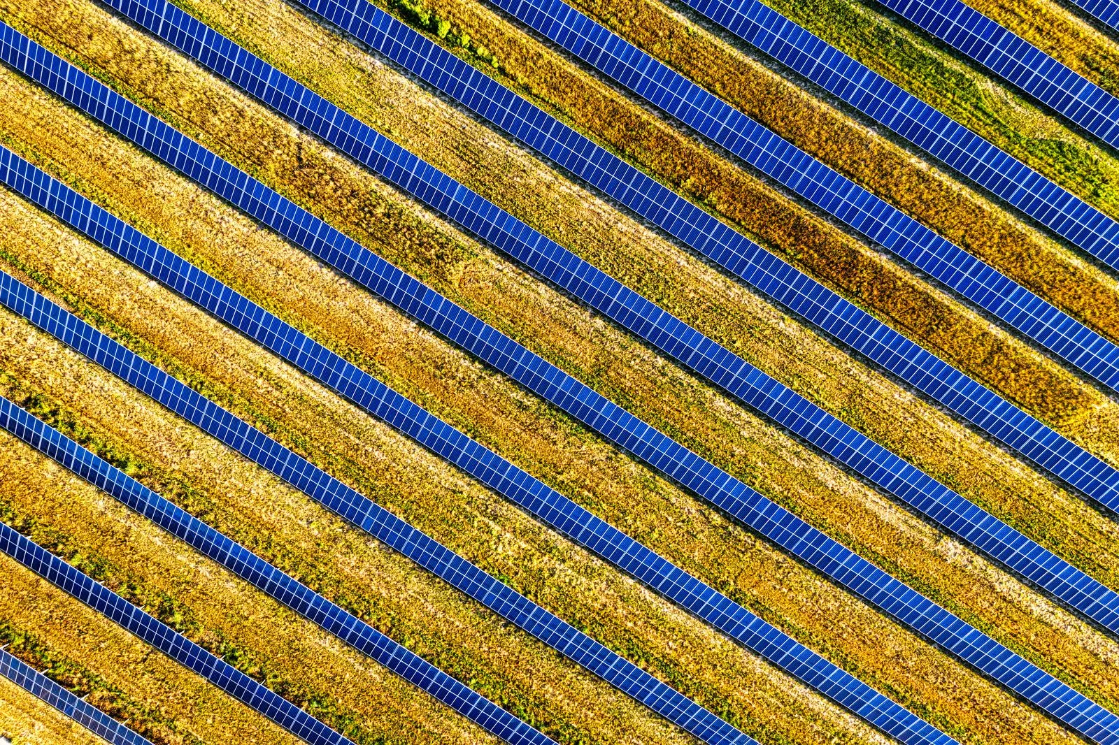 Vibrant aerial shot of solar panels in a field, showcasing renewable energy in Red Wing, MN.